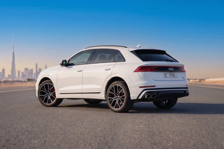 Audi Q8 (1)