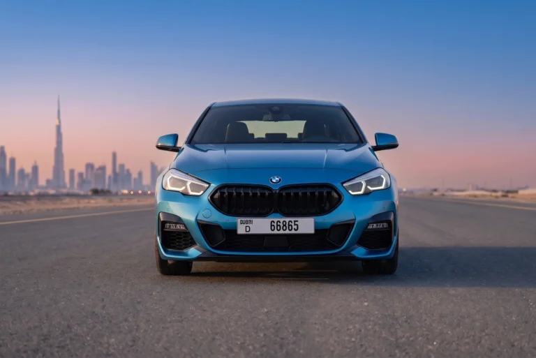 BMW 228I (2)