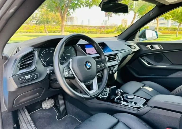 BMW 228I (4)