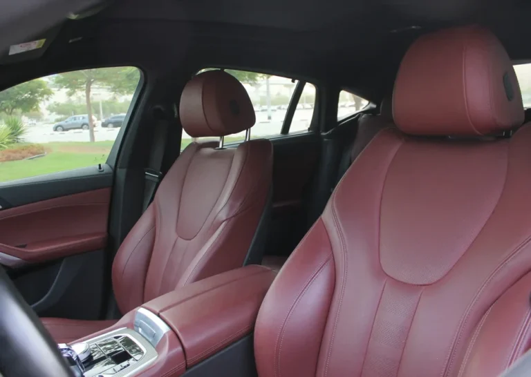 BMW X6 (6)